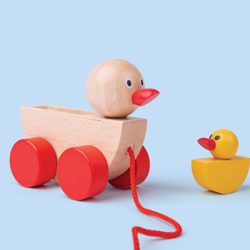 Wooden push best sale and pull toys